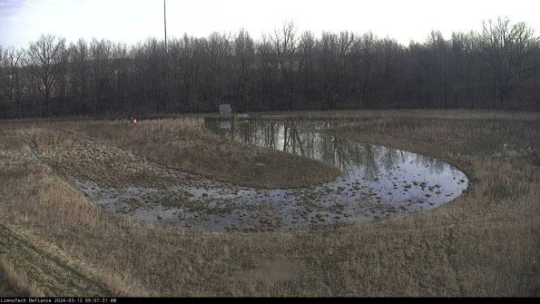 Cell 4_24-03-13_09-07-32-13