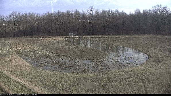 Cell 4_24-03-13_09-41-01-14