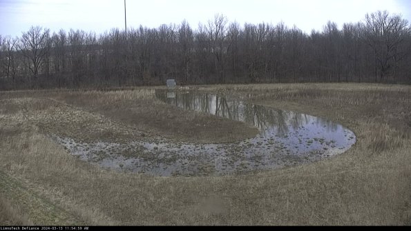 Cell 4_24-03-13_11-55-00-15