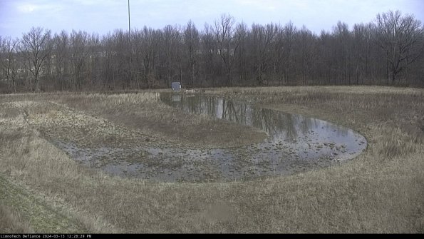 Cell 4_24-03-13_12-28-30-14