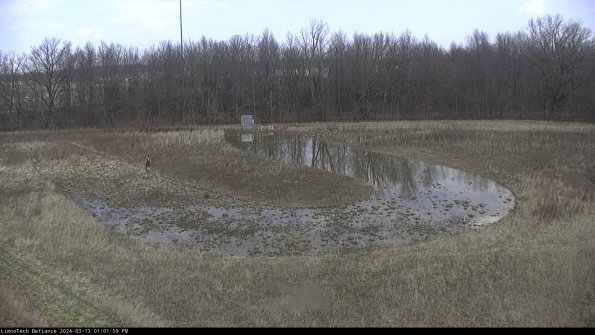 Cell 4_24-03-13_13-02-00-13