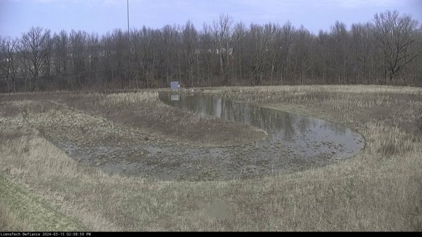 Cell 4_24-03-13_14-09-00-14