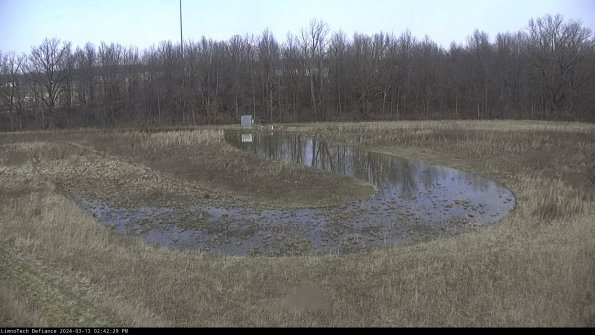 Cell 4_24-03-13_14-42-30-13