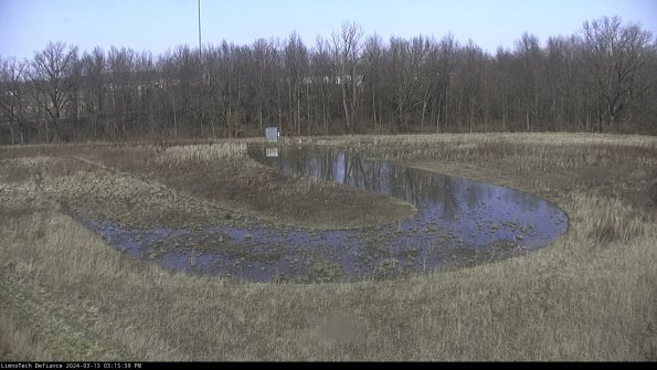 Cell 4_24-03-13_15-16-00-15