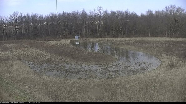 Cell 4_24-03-13_15-49-30-13