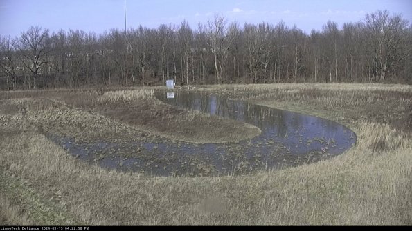 Cell 4_24-03-13_16-22-59-12