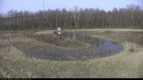 Cell 4_24-03-13_16-56-28-14