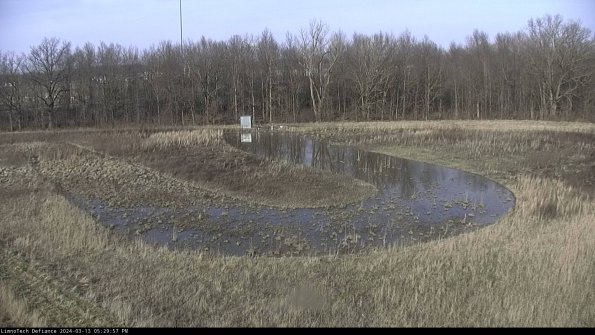 Cell 4_24-03-13_17-29-58-13