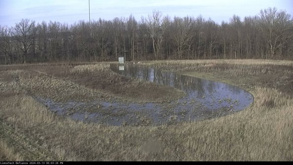 Cell 4_24-03-13_18-03-27-12