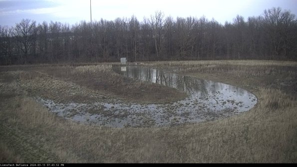 Cell 4_24-03-13_19-43-53-14