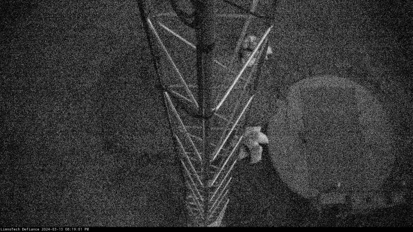 Hatch_24-03-13_20-19-02-12