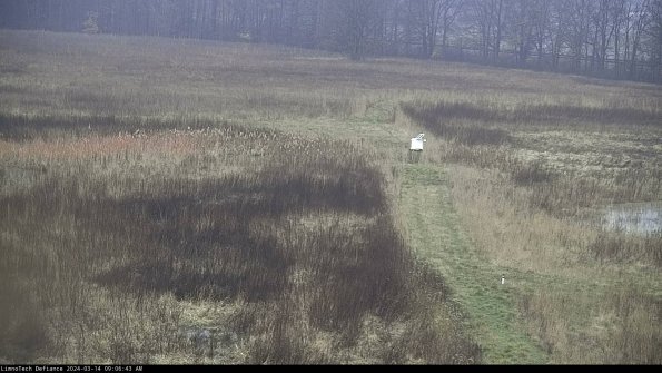 Cell 1 to 2_24-03-14_09-06-44-13