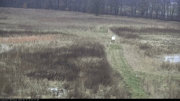 Cell 1 to 2_24-03-14_10-47-16-12