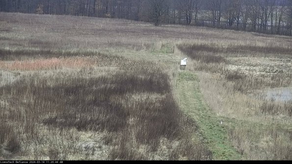 Cell 1 to 2_24-03-14_11-20-45-13