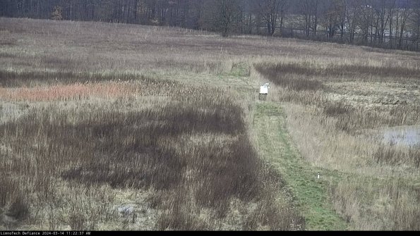 Cell 1 to 2_24-03-14_11-22-38-38