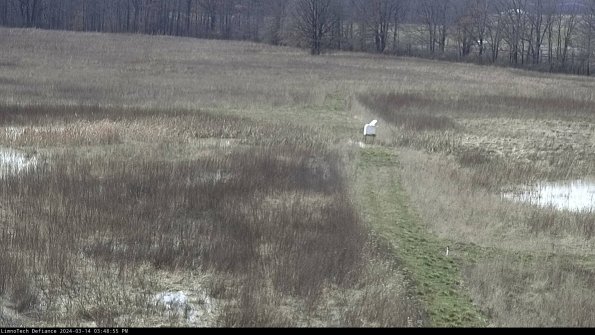 Cell 1 to 2_24-03-14_15-48-56-13