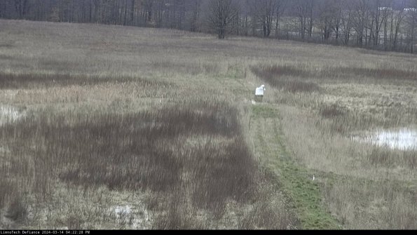 Cell 1 to 2_24-03-14_16-22-29-15