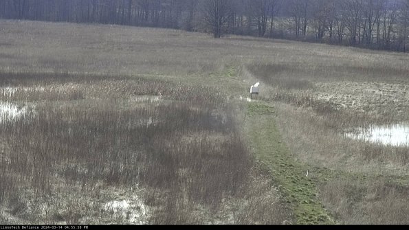 Cell 1 to 2_24-03-14_16-55-59-14