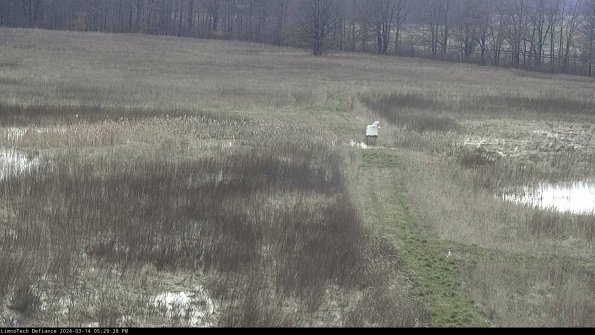 Cell 1 to 2_24-03-14_17-29-29-16