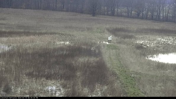 Cell 1 to 2_24-03-14_18-36-31-13