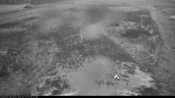 Cell 1_24-03-14_07-59-28-15