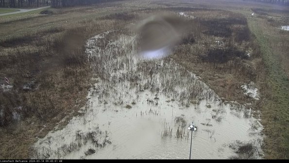 Cell 1_24-03-14_09-40-02-14