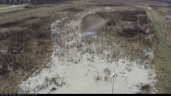 Cell 1_24-03-14_10-13-32-12