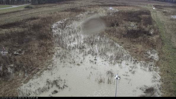 Cell 1_24-03-14_10-47-02-14