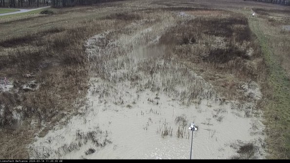 Cell 1_24-03-14_11-20-31-12