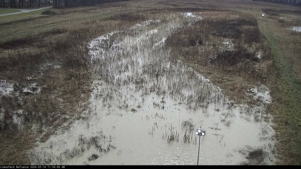 Cell 1_24-03-14_11-54-07-14