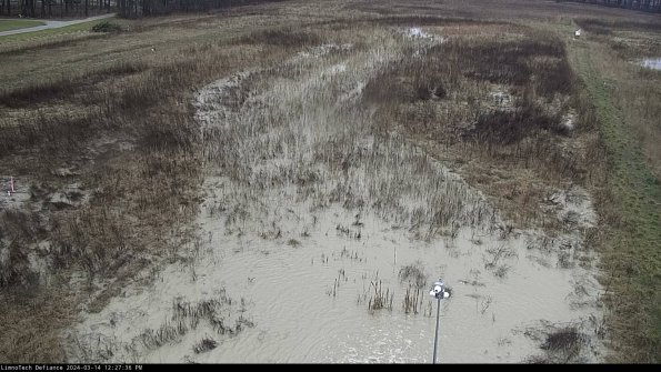 Cell 1_24-03-14_12-27-37-13