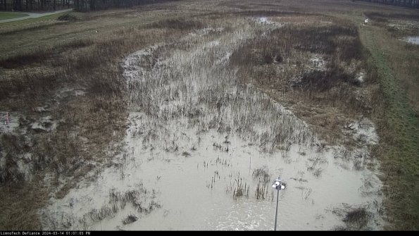 Cell 1_24-03-14_13-01-06-14