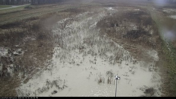 Cell 1_24-03-14_13-34-39-13