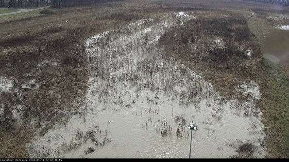 Cell 1_24-03-14_14-41-39-14