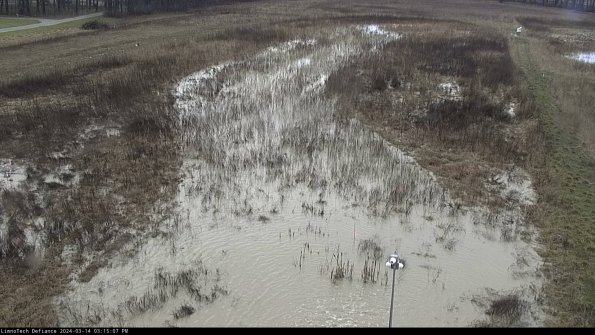 Cell 1_24-03-14_15-15-08-12