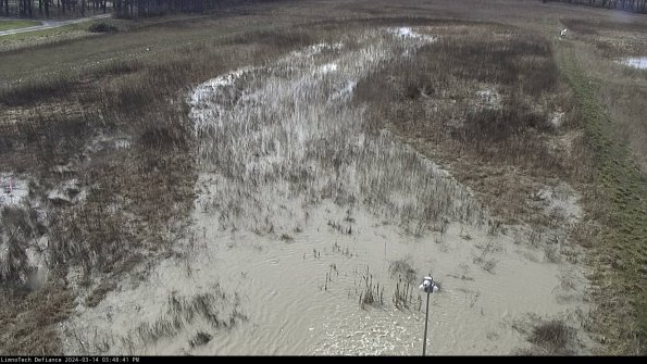 Cell 1_24-03-14_15-48-42-15