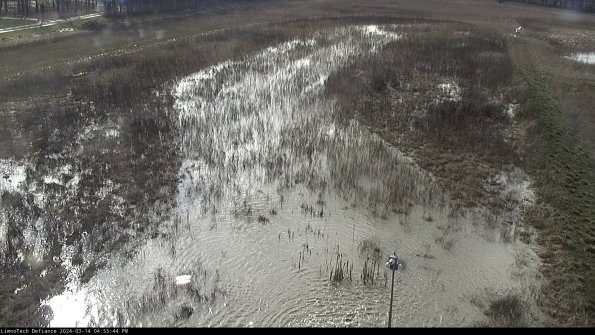 Cell 1_24-03-14_16-55-45-12