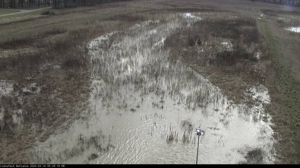 Cell 1_24-03-14_17-29-15-14