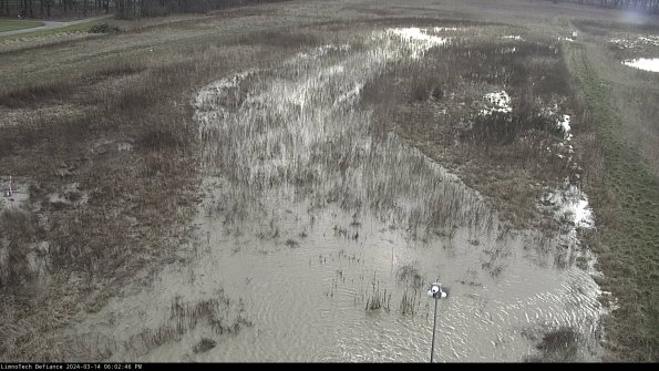 Cell 1_24-03-14_18-02-47-20