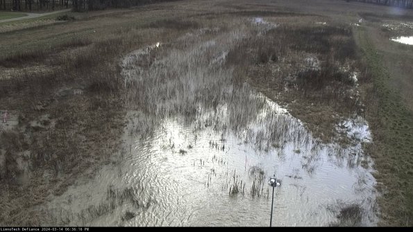 Cell 1_24-03-14_18-36-17-15