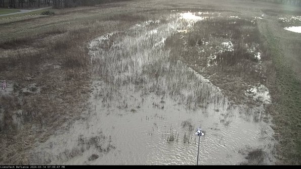 Cell 1_24-03-14_19-09-48-14