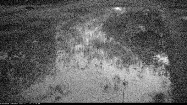 Cell 1_24-03-14_20-16-46-14