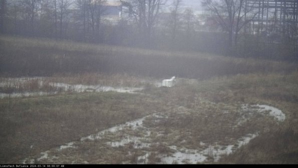 Cell 2 to 3_24-03-14_08-00-08-25