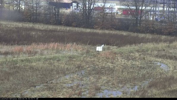 Cell 2 to 3_24-03-14_10-14-12-26