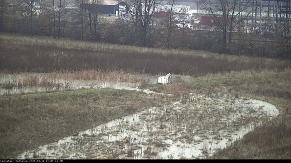 Cell 2 to 3_24-03-14_13-01-46-25