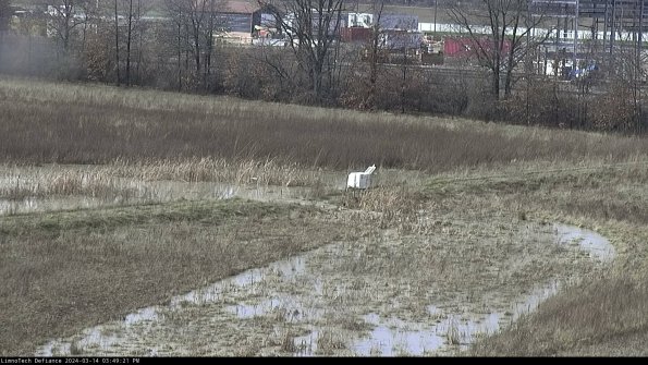 Cell 2 to 3_24-03-14_15-49-22-25