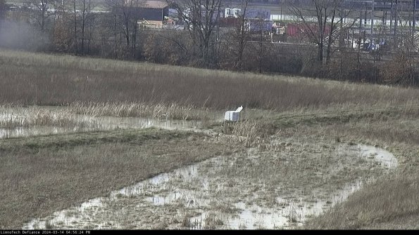 Cell 2 to 3_24-03-14_16-56-25-26