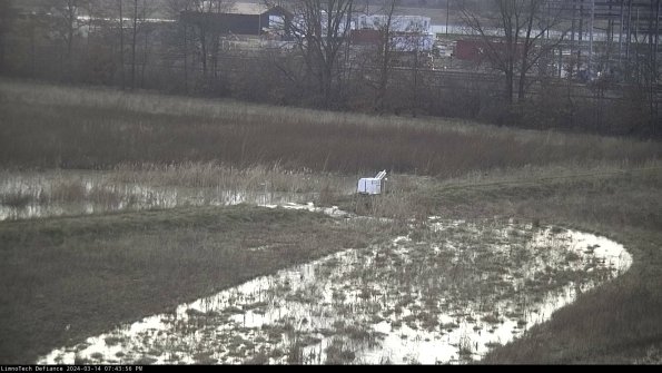 Cell 2 to 3_24-03-14_19-43-57-30