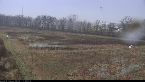 Cell 2_24-03-14_08-33-25-16