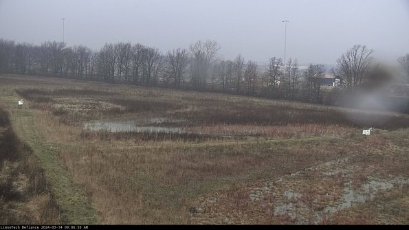 Cell 2_24-03-14_09-06-57-21